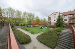 44356 - zdjęcie nr 2