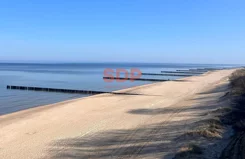 43673 - zdjęcie nr 4