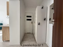42704 - zdjęcie nr 2