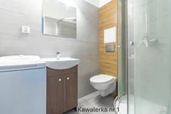 42704 - zdjęcie nr 3