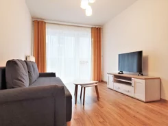 22132 - zdjęcie nr 0