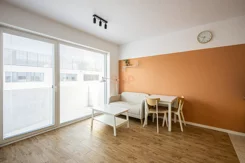 43587 - zdjęcie nr 0