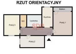 44240 - zdjęcie nr 2