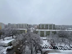 43883 - zdjęcie nr 4