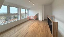 33434 - zdjęcie nr 0