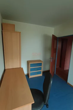 43391 - zdjęcie nr 2