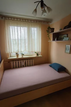 43391 - zdjęcie nr 3