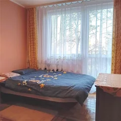 43749 - zdjęcie nr 2