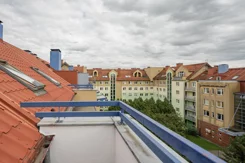 42529 - zdjęcie nr 4