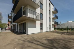 38689 - zdjęcie nr 0