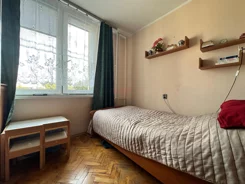 42478 - zdjęcie nr 3