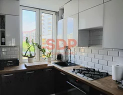 44527 - zdjęcie nr 3