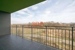 44213 - zdjęcie nr 3