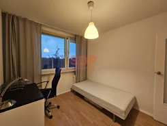 43268 - zdjęcie nr 3