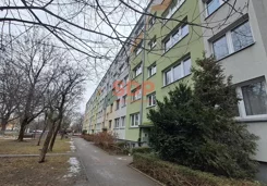 44012 - zdjęcie nr 4