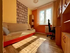 42059 - zdjęcie nr 3