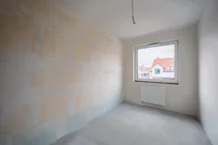 43753 - zdjęcie nr 1