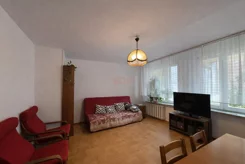 43886 - zdjęcie nr 2