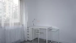 23541 - zdjęcie nr 2