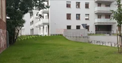 23541 - zdjęcie nr 3