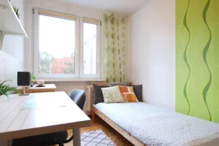 43943 - zdjęcie nr 2