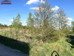 PRO-GS-11126-1 - zdjęcie nr 1