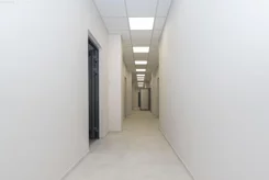 8097 - zdjęcie nr 3