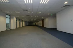 7587 - zdjęcie nr 4