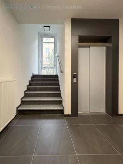 8152 - zdjęcie nr 2