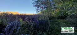 4/9/10/2025 - zdjęcie nr 4