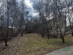 4/15/02/2026 - zdjęcie nr 0