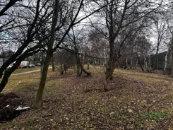 4/15/02/2026 - zdjęcie nr 3