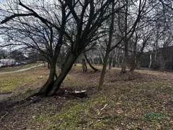 4/15/02/2026 - zdjęcie nr 4