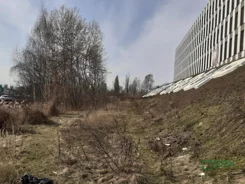 3/1/03/2026 - zdjęcie nr 3