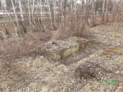 3/1/03/2026 - zdjęcie nr 4