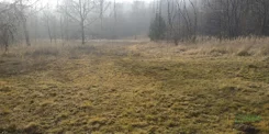 4/58/12/2019 - zdjęcie nr 3