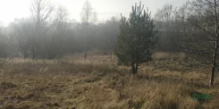 4/58/12/2019 - zdjęcie nr 4