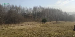 230-49/2025 - zdjęcie nr 2