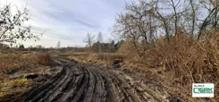 4/5/11/2025 - zdjęcie nr 4