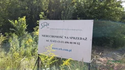 230-100/2024 - zdjęcie nr 2