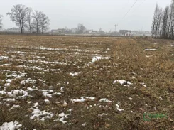 4/24/01/2026 - zdjęcie nr 0