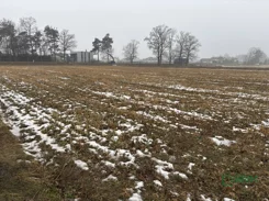 4/24/01/2026 - zdjęcie nr 1
