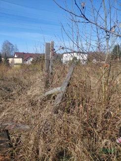 4/11/04/2026 - zdjęcie nr 3