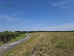230-136/2024 - zdjęcie nr 2