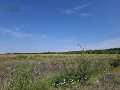 230-136/2024 - zdjęcie nr 3