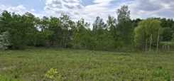 4/4/05/2025 - zdjęcie nr 2