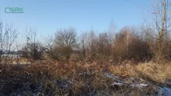 4/1/01/2020 - zdjęcie nr 2