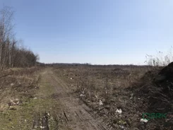 4/83/01/2020 - zdjęcie nr 0
