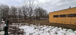 4/21/01/2026 - zdjęcie nr 2