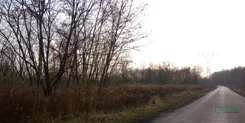 4/9/12/2019 - zdjęcie nr 4